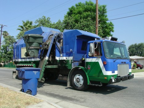 Various types of garden waste ready for removal